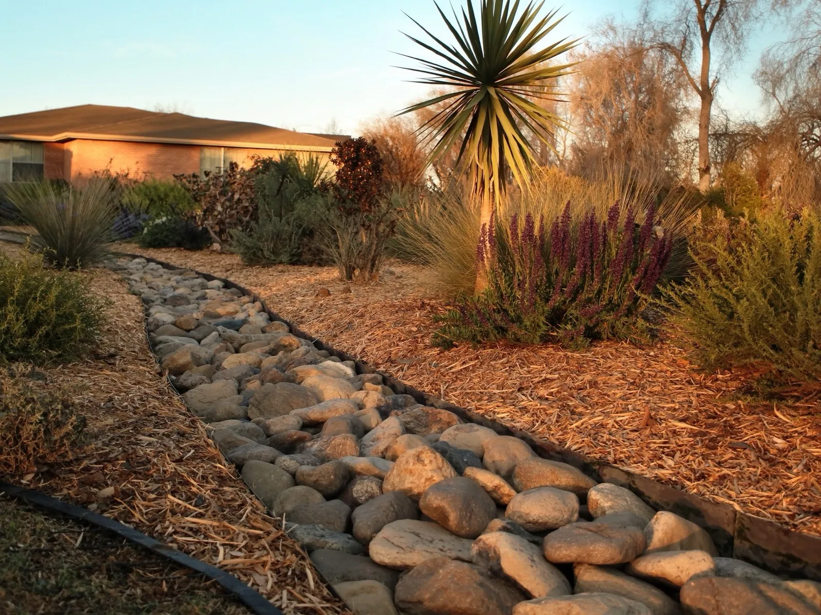 Dry creek bed of mixed Texas river rock winding through a Crowley xeriscape yard at golden hour